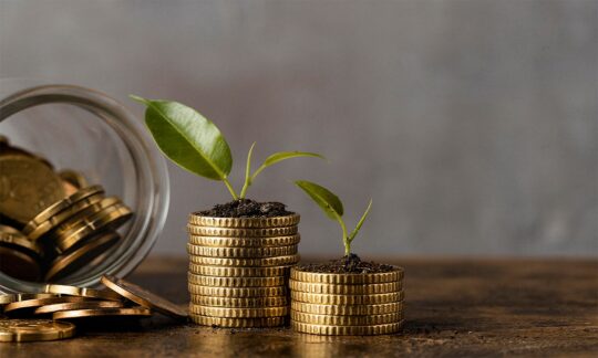 Fund Mobilization Plan